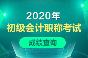 2025辽宁会计网初级成绩查询与会计咨询全攻略